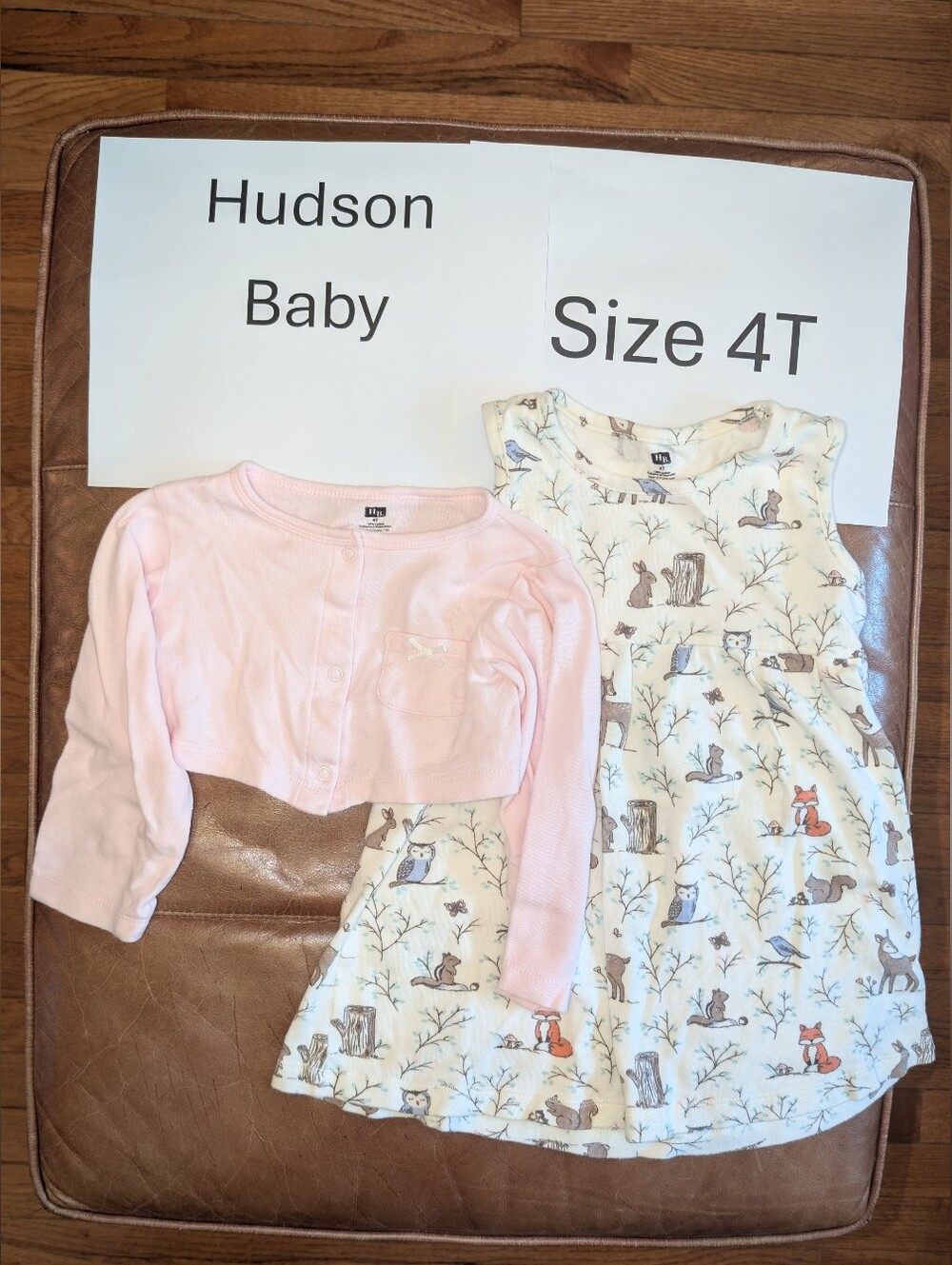 Hudson Baby 4T Woodland Animal Print Dress And Pink Cardigan